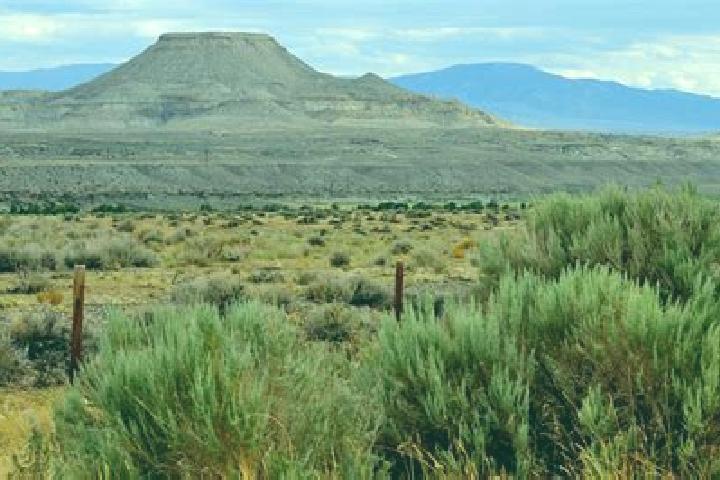 escort Heart Butte