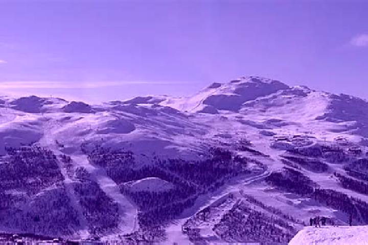 escort Hemsedal