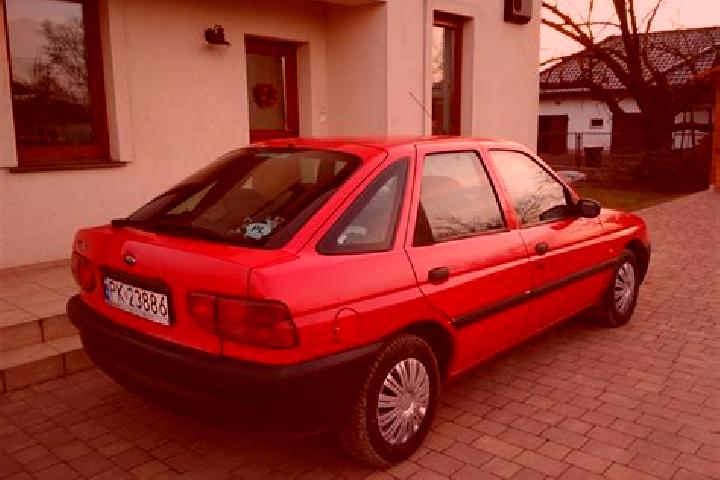 escort Heretaunga