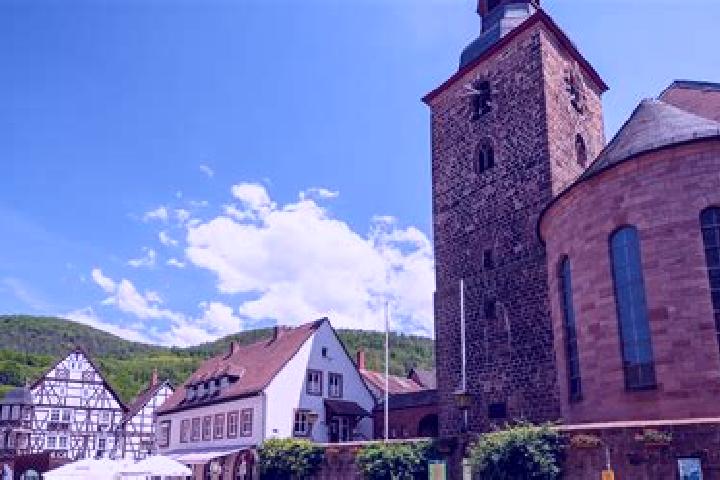 escort Hergersweiler