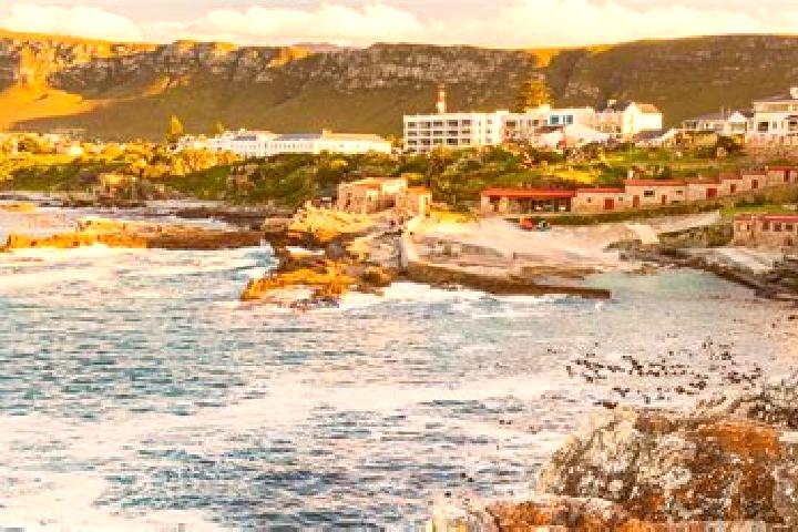 escort Hermanus