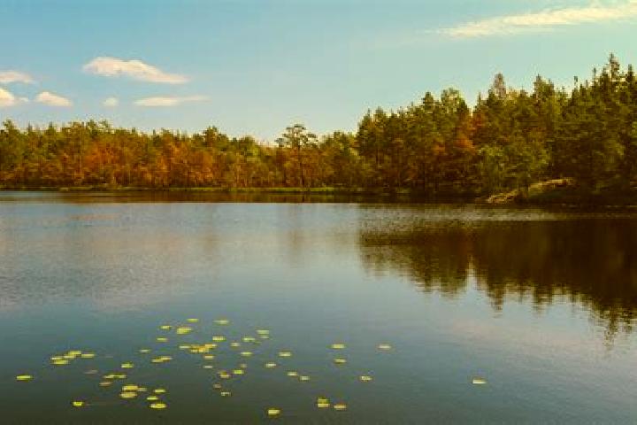 escort Heron Lake