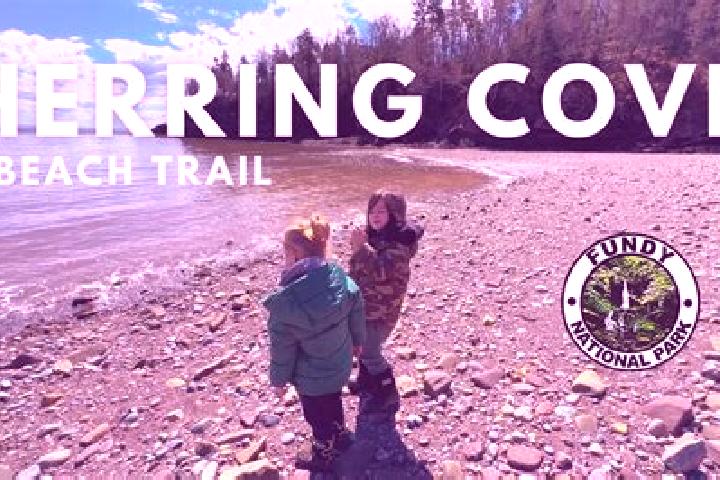 escort Herring Cove
