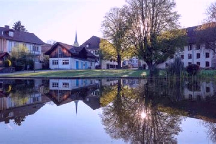 escort Herzogenbuchsee