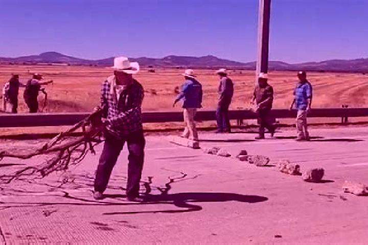 escort Hidalgo Norte