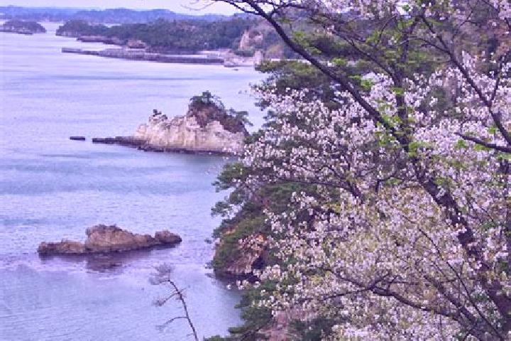 escort Higashimatsushima