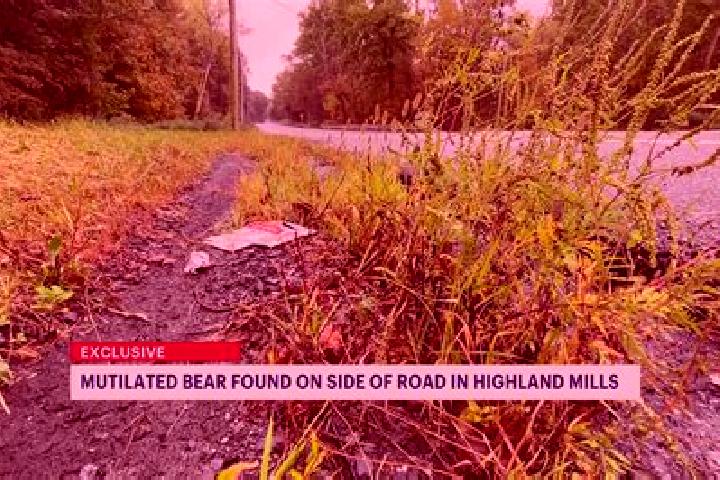 escort Highland Mills