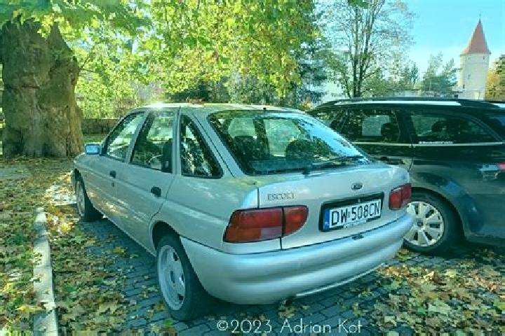 escort Hilbesheim