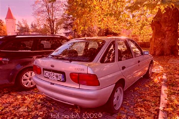 escort Hillesheim
