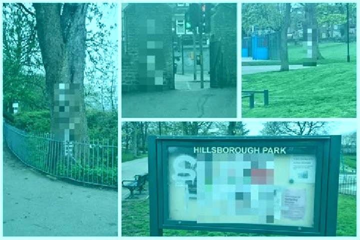 escort Hillsborough Park