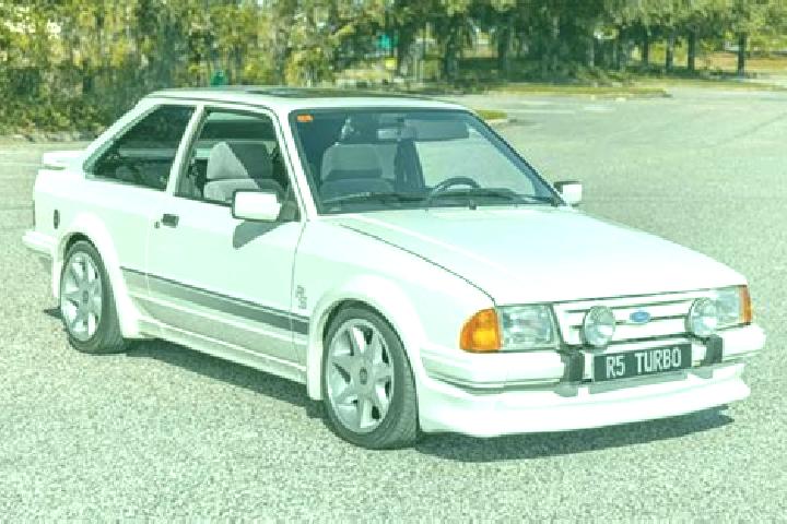 escort Hohburd