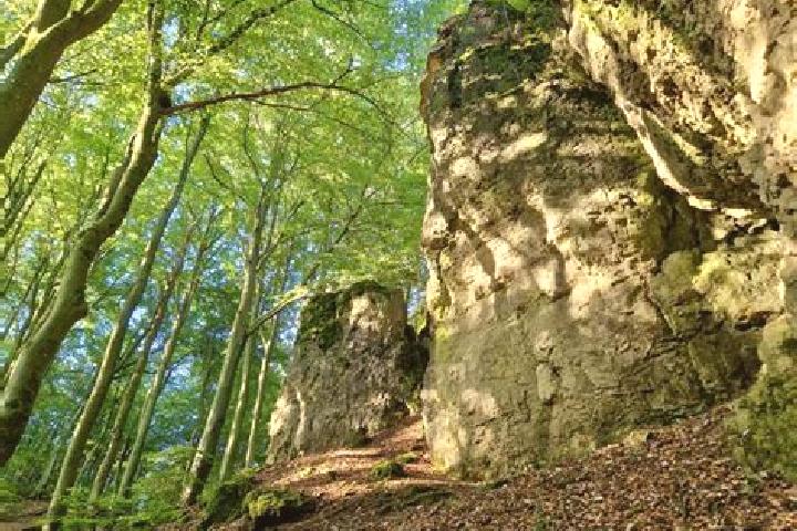 escort Hohenfels-Essingen