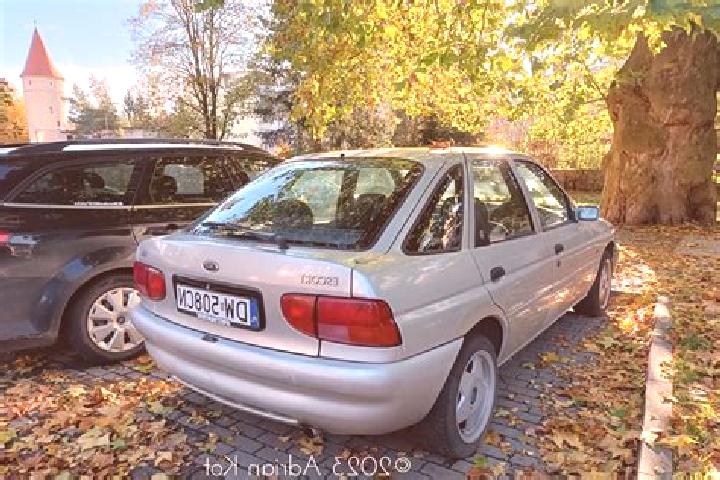 escort Hohnhorst