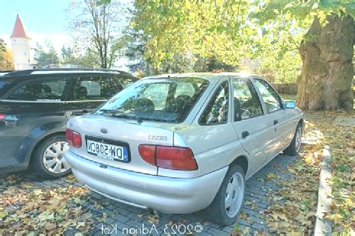 escort Hommerdingen