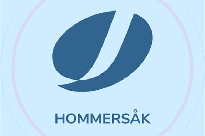 escort Hommersak