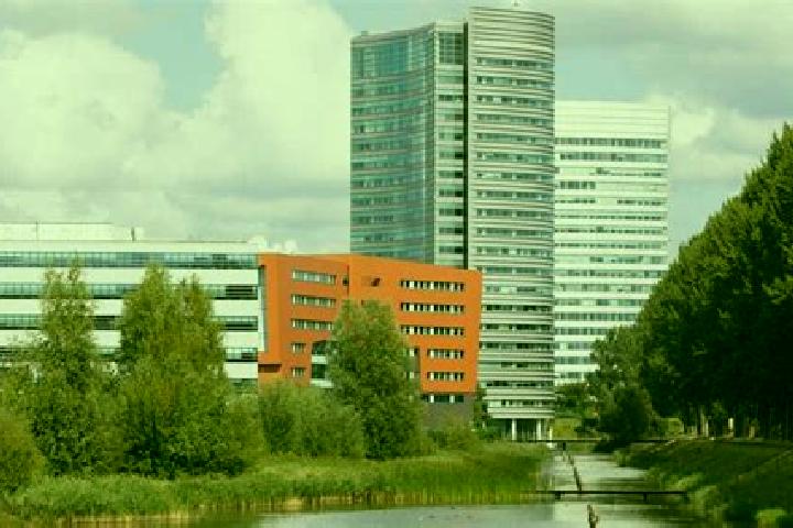 escort Hoofddorp