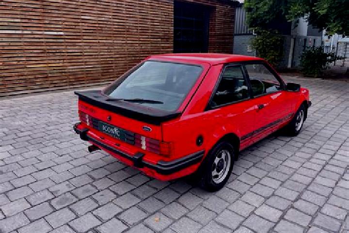 escort Hooglede