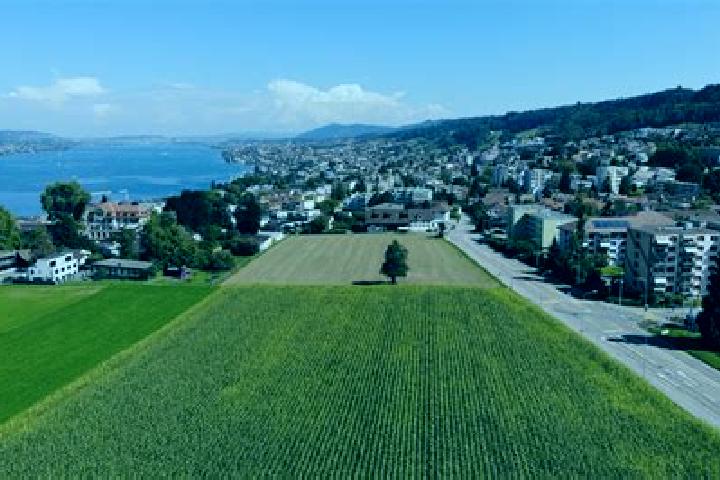 escort Horgen / Allmend