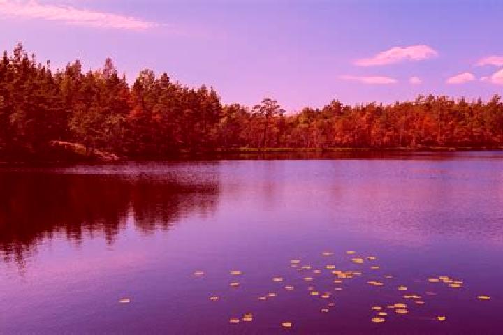 escort Horn Lake