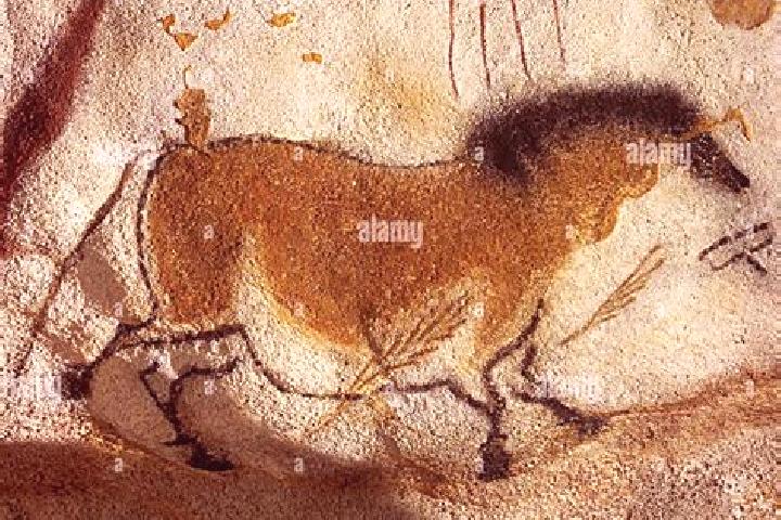escort Horse Cave