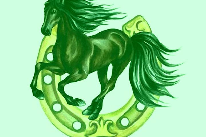 escort Horse Shoe