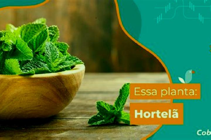 escort Hortela de Cima