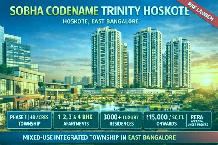 escort Hoskote