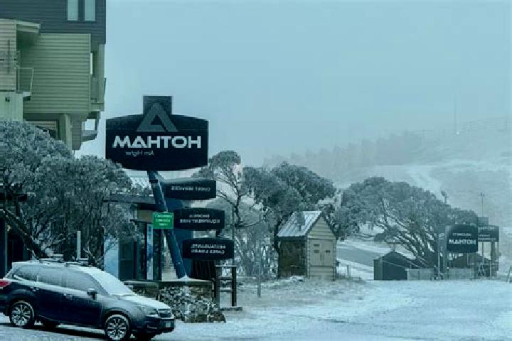 escort Hotham Heights