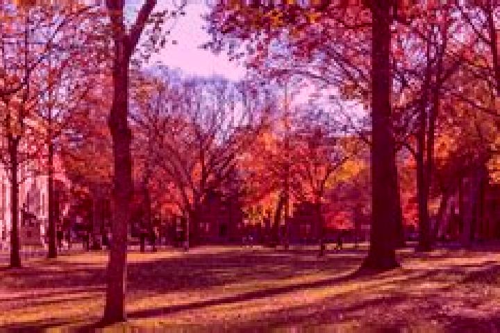 escort Housatonic