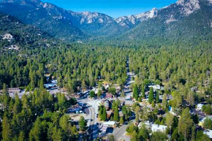 escort Idyllwild-Pine Cove