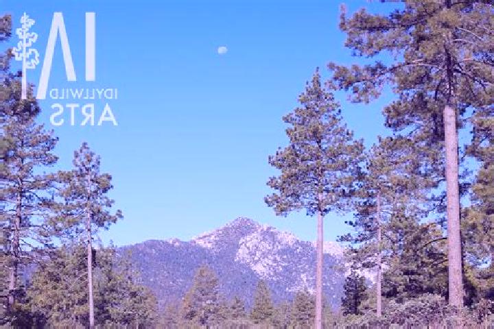 escort Idyllwild