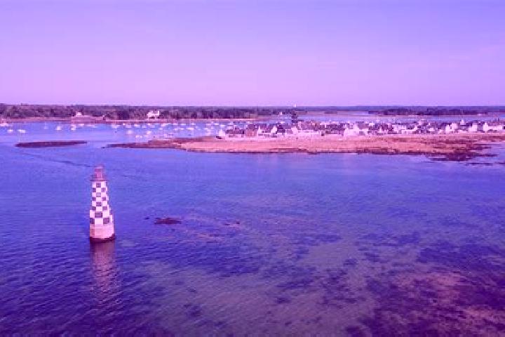 escort Ile-Tudy