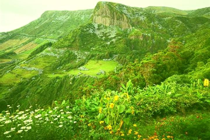 escort Ilha das Flores