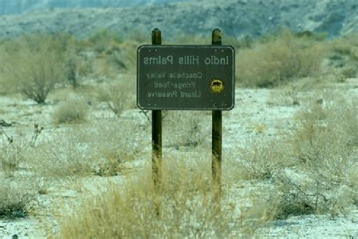 escort Indio Hills