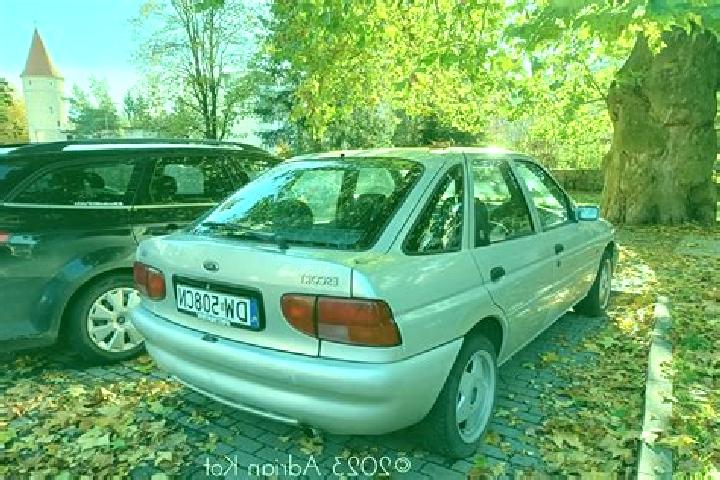 escort Irchwitz