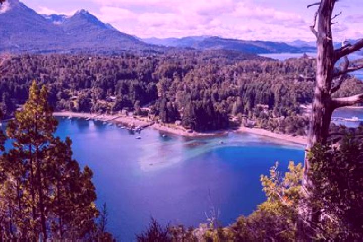 escort Isla del Bosque