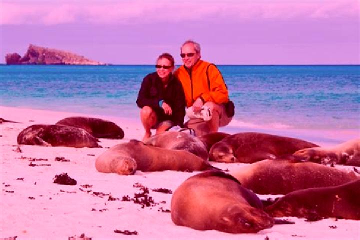 escort Isla Guadalupe