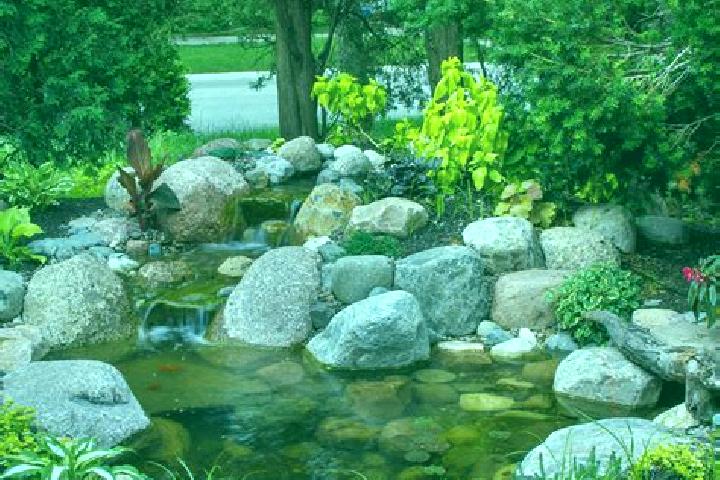 escort Island Pond