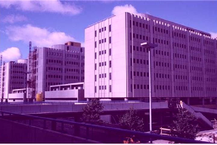 escort Itae-Pasila