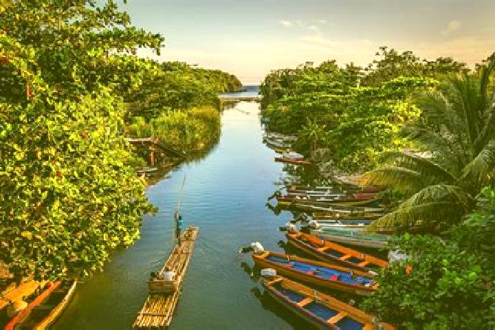escort Jamaica