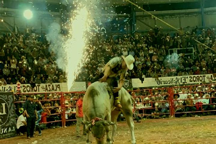 escort Jaripeo