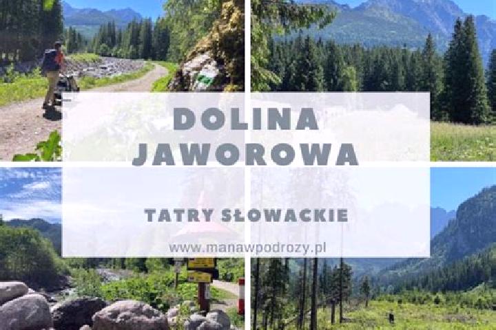 escort Jaworowa