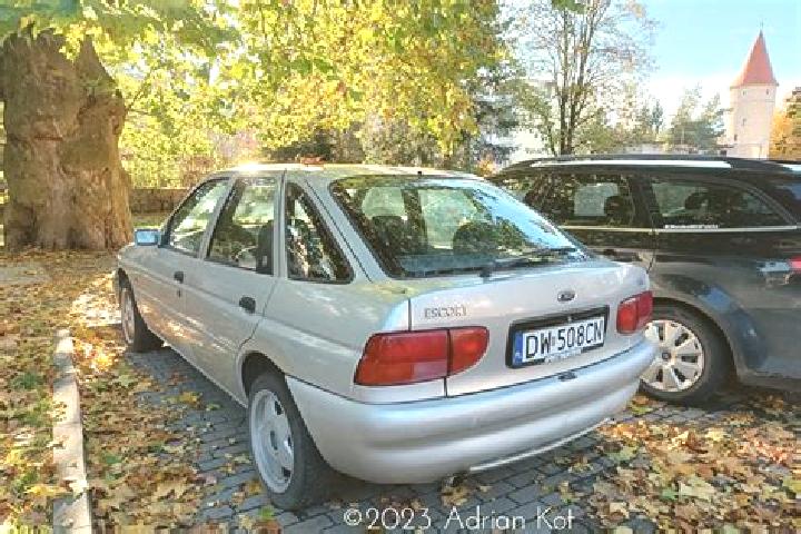 escort Jedrzychowice
