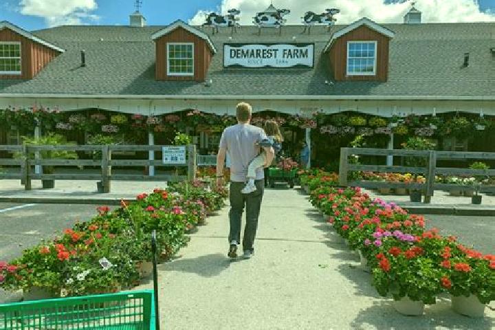 escort Jersey Farm