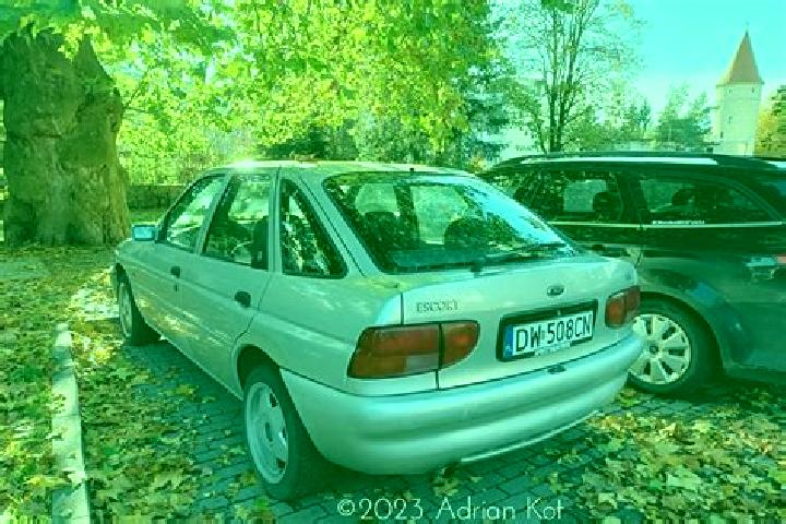 escort Jesenny