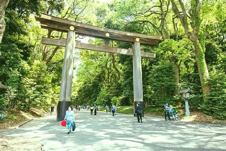 escort Jingu