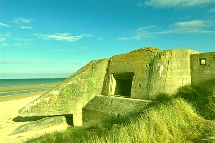 escort Juno Beach