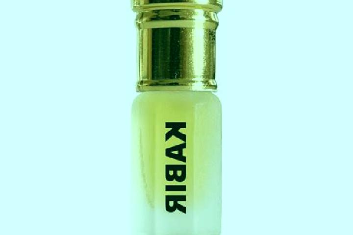 escort Kabir