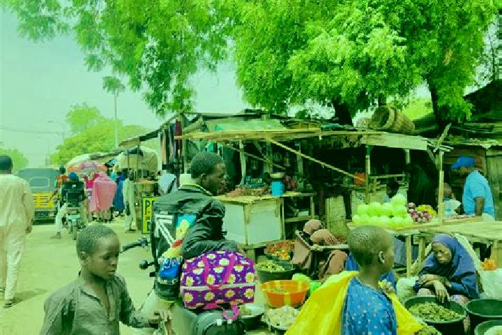 escort Kafin Hausa