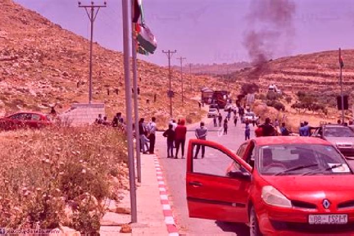 escort Kafr Qallil